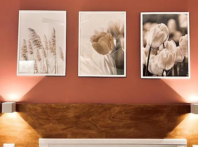 Novaroma By Local Domus Gasthuis Rome