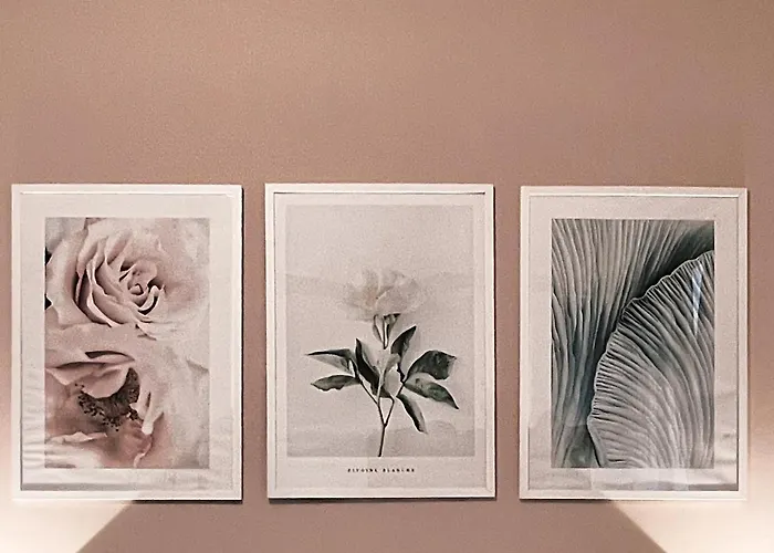 Gasthuis Novaroma By Local Domus